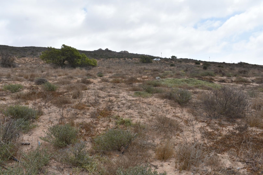 0 Bedroom Property for Sale in St Helena Views Western Cape